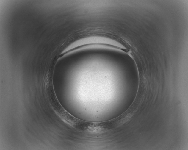 X0000083990311200702161139