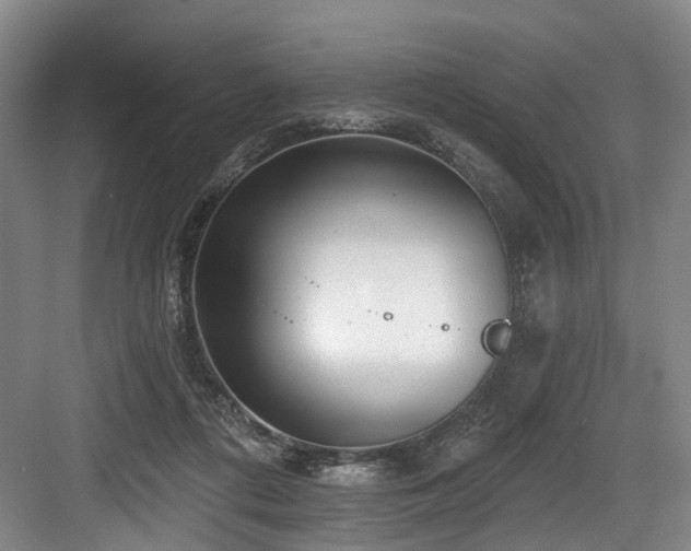 X0000083990312200702161139