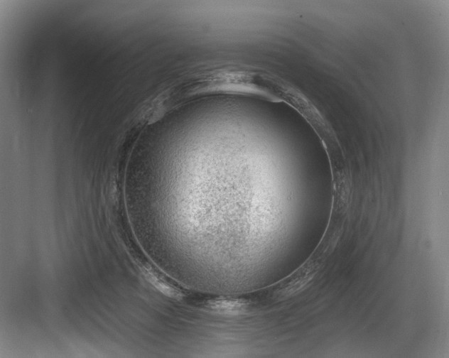 X0000083990313200702161139