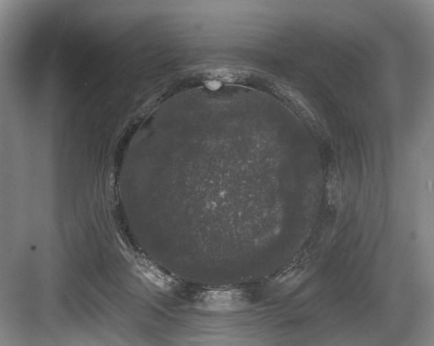 X0000083990314200702161139