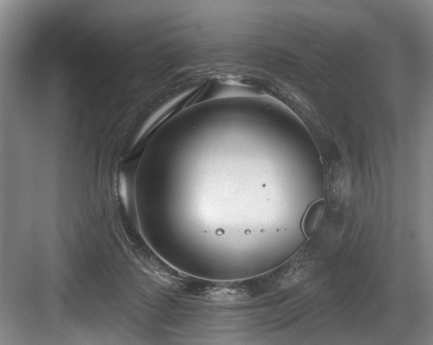 X0000083990315200702161139