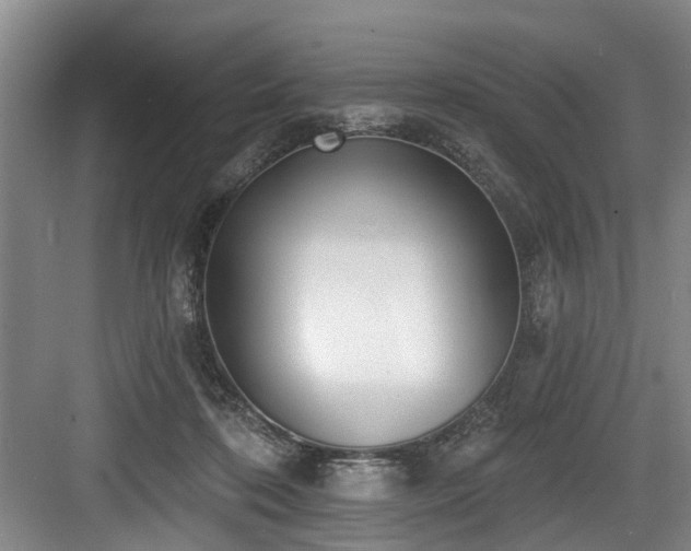 X0000083990316200702161139