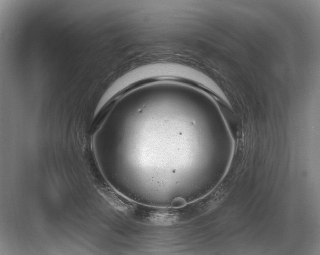 X0000083990319200702161139