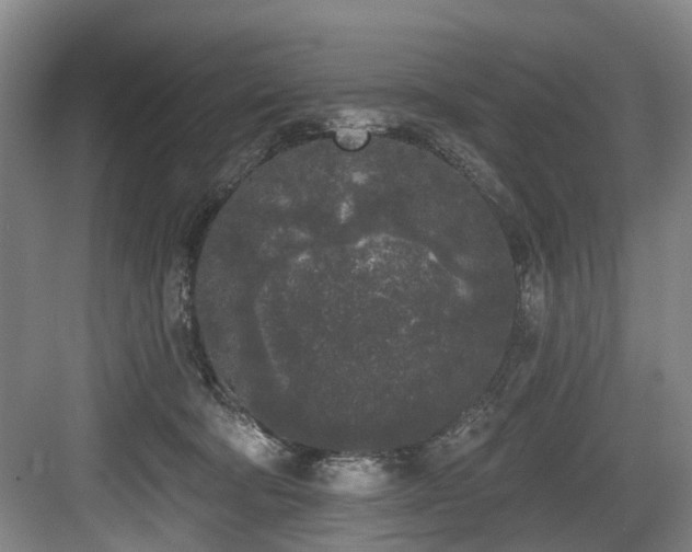 X0000083990322200702161139