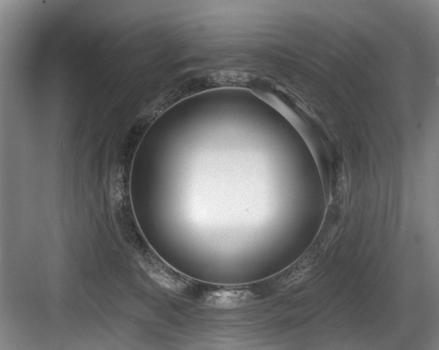 X0000083990323200702161139