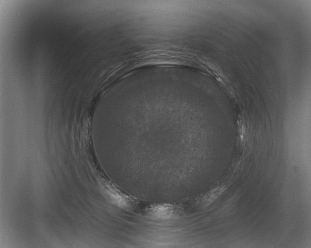 X0000083990325200702161139