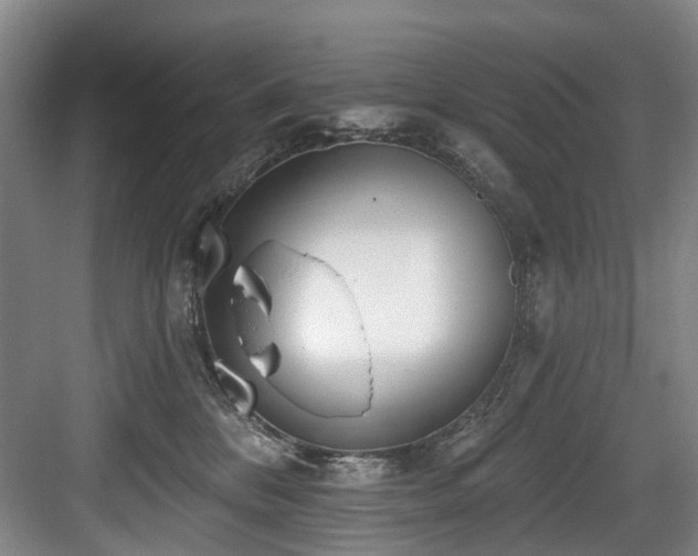 X0000083990328200702161139