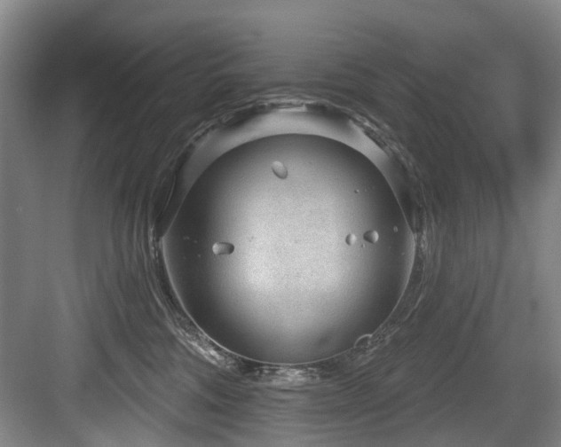 X0000083990330200702161139