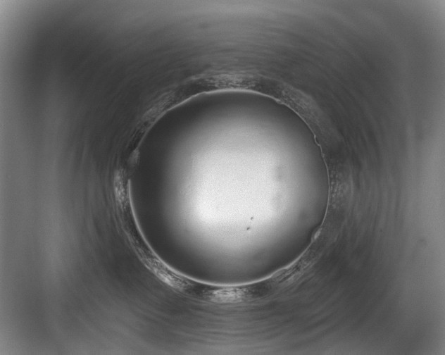 X0000083990335200702161139