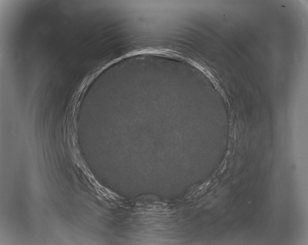 X0000083990337200702161138