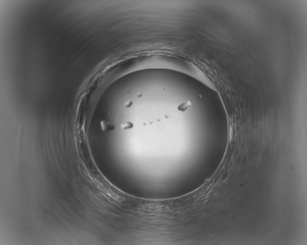 X0000083990339200702161138