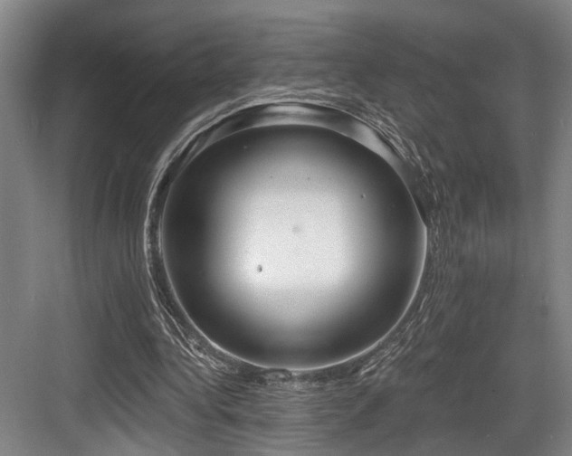 X0000083990340200702161138