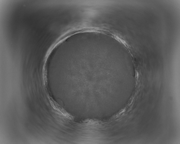 X0000083990343200702161138