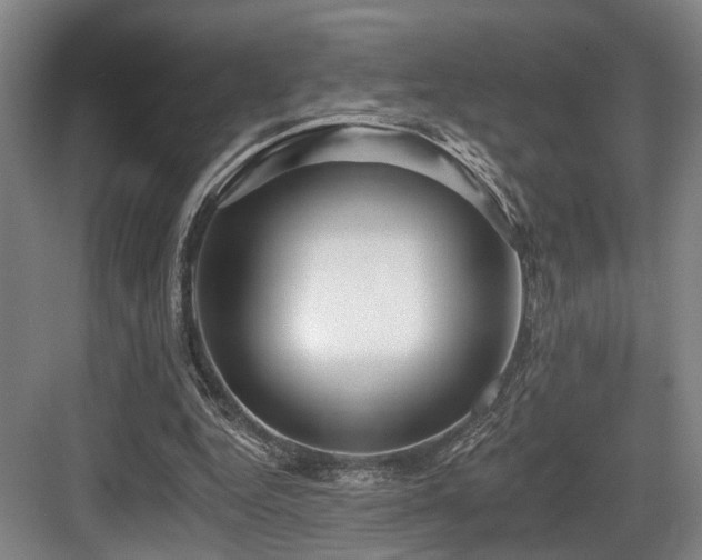 X0000083990344200702161138