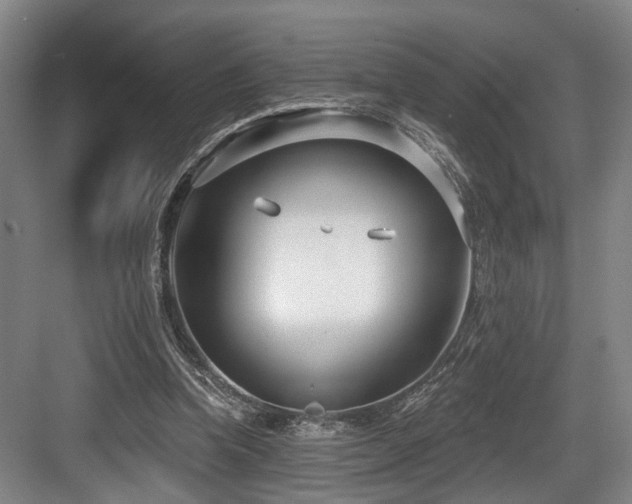 X0000083990346200702161138