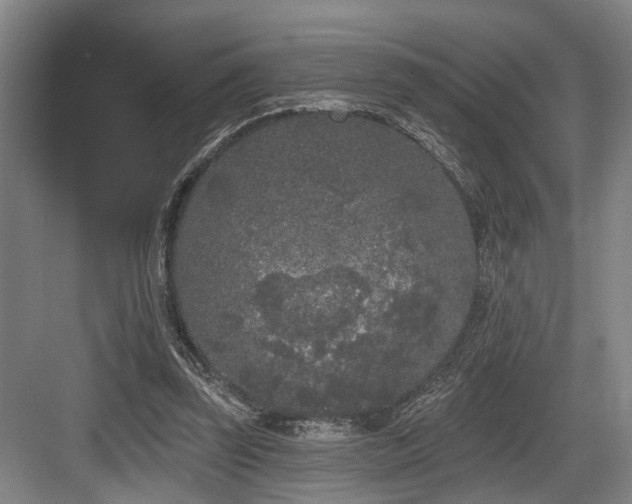 X0000083990347200702161138