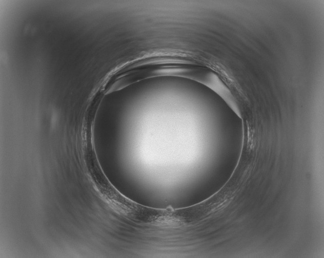 X0000083990348200702161138