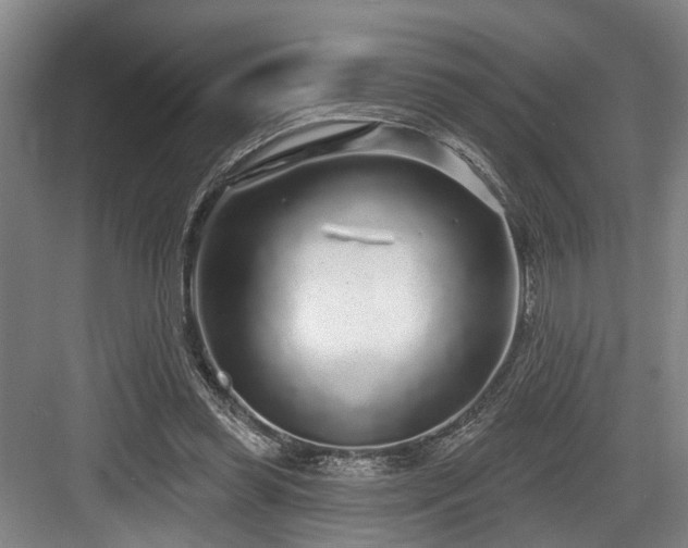 X0000083990349200702161138