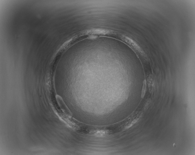 X0000083990352200702161138