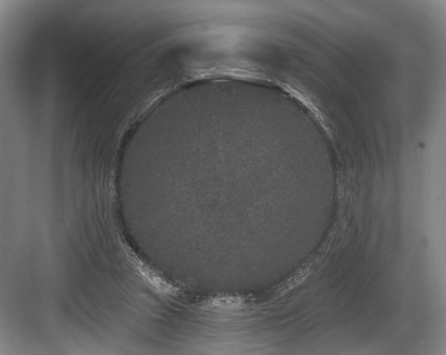 X0000083990353200702161138