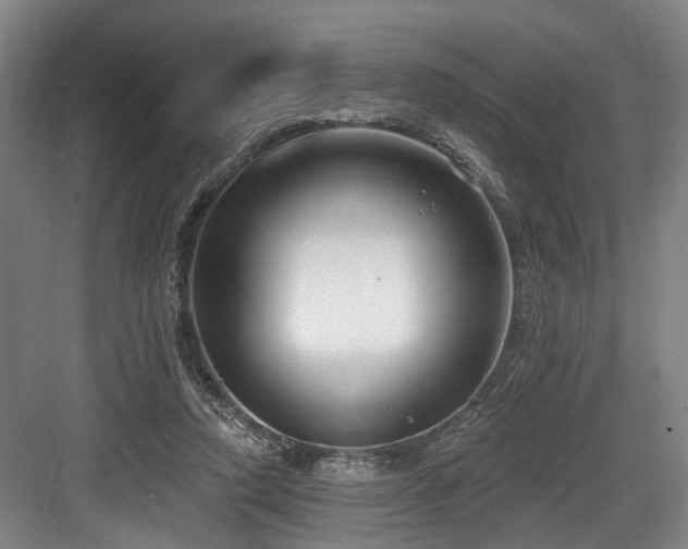 X0000083990354200702161138