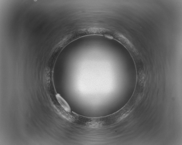 X0000083990356200702161138