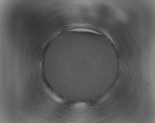 X0000083990357200702161138