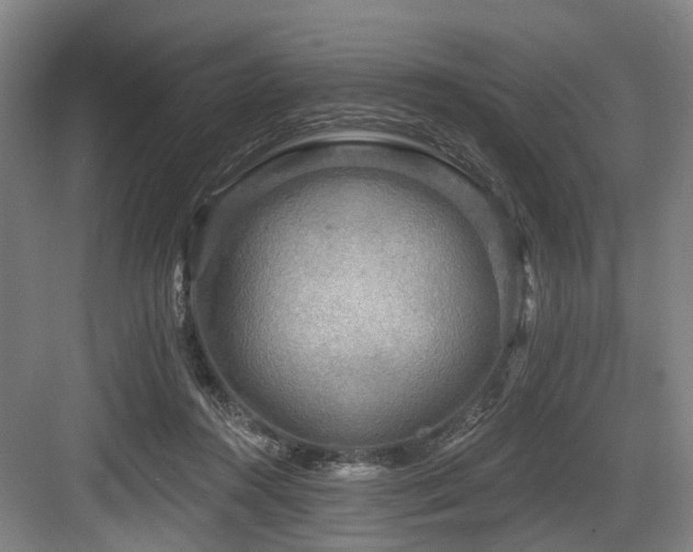 X0000083990360200702161138