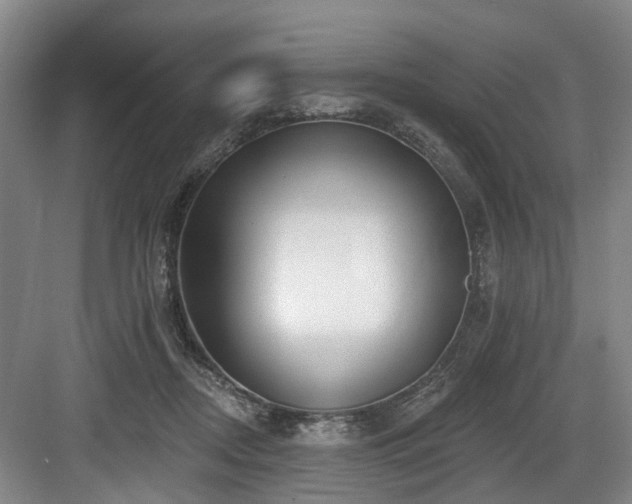 X0000083990362200702161138