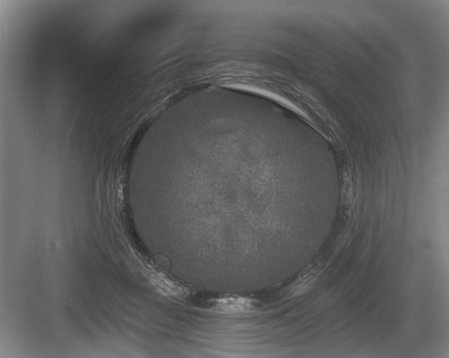 X0000083990363200702161138