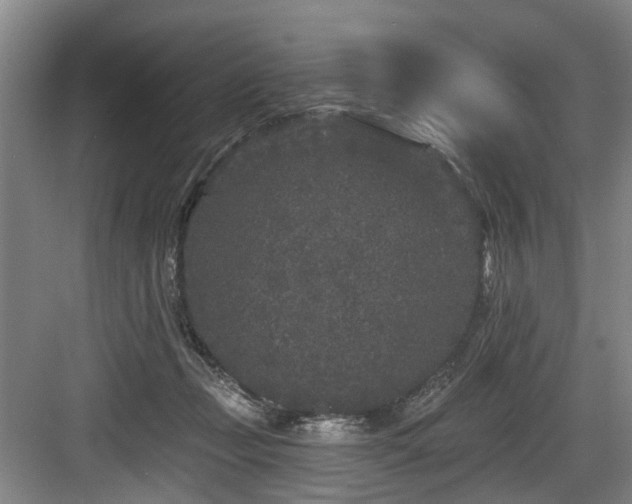 X0000083990365200702161138