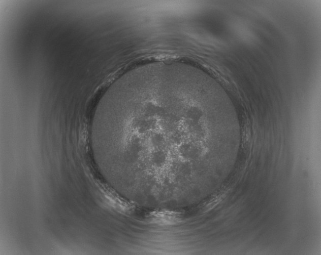 X0000083990367200702161138