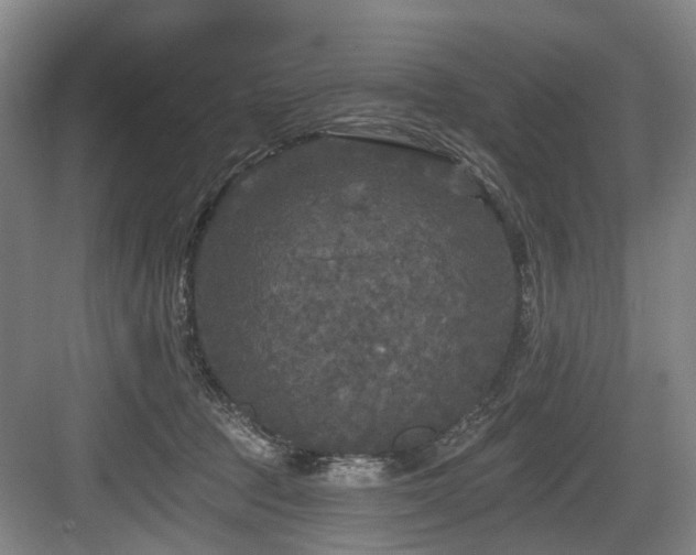 X0000083990369200702161138