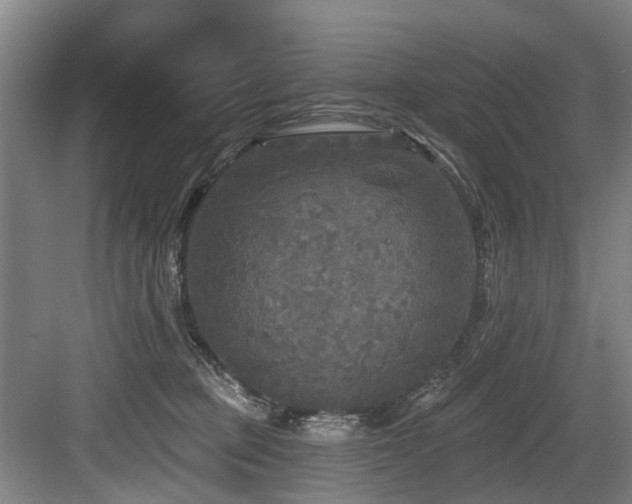 X0000083990373200702161138