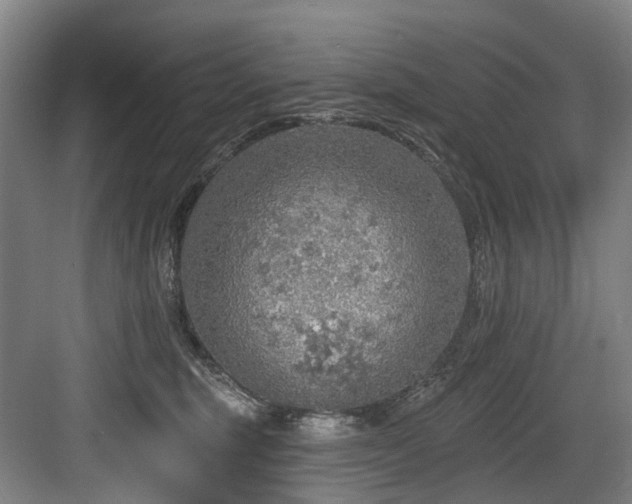 X0000083990375200702161139