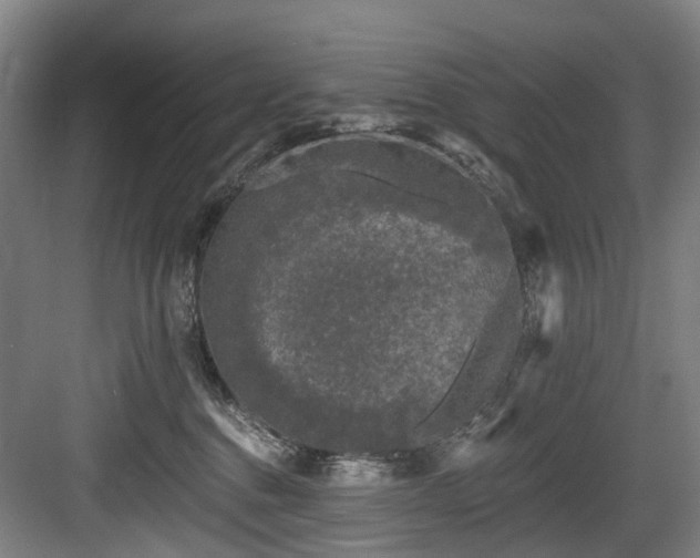 X0000083990376200702161139