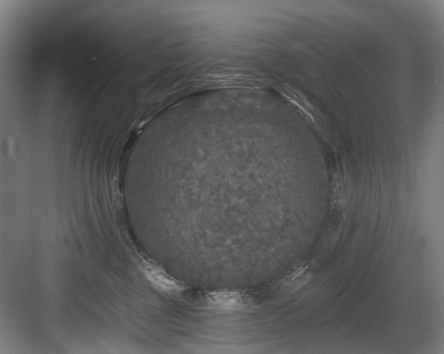 X0000083990377200702161139