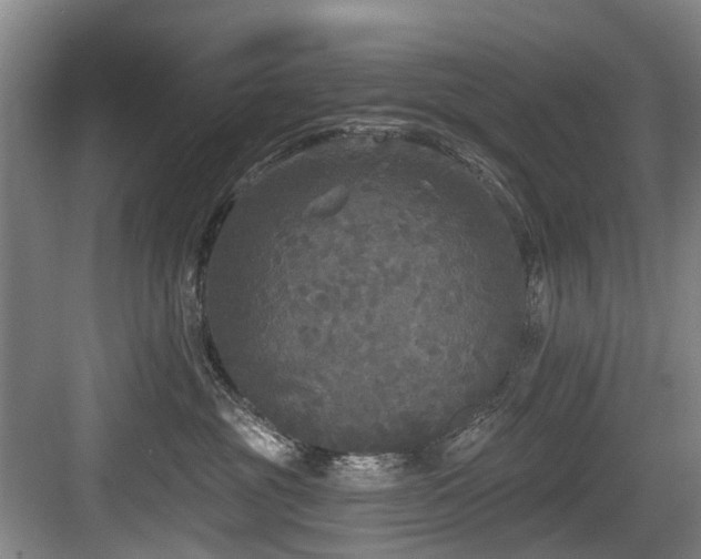 X0000083990381200702161139