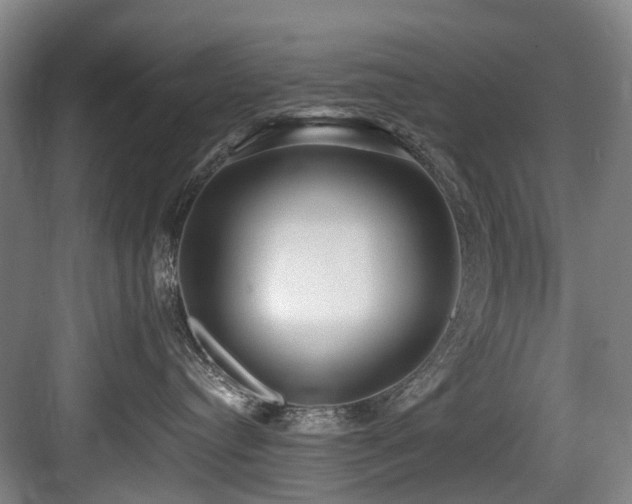 X0000083990384200702161139