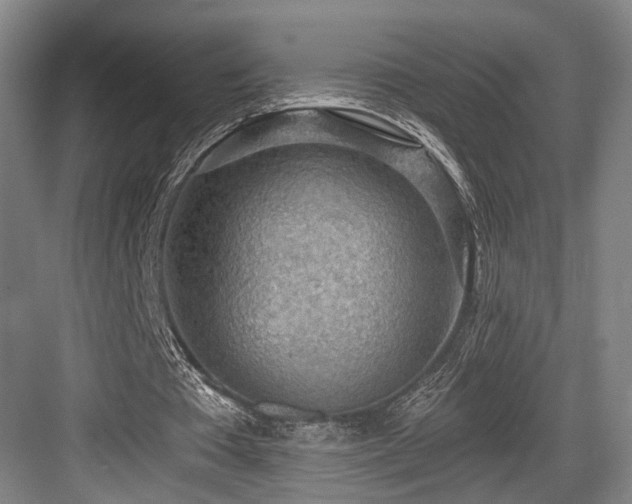 X0000083990385200702161138