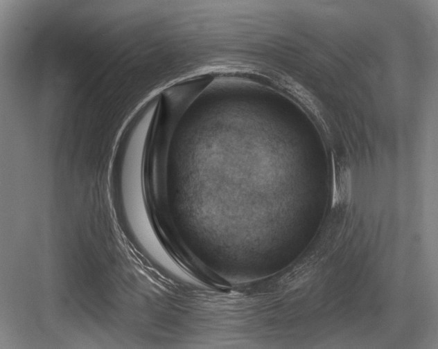 X0000083990387200702161138