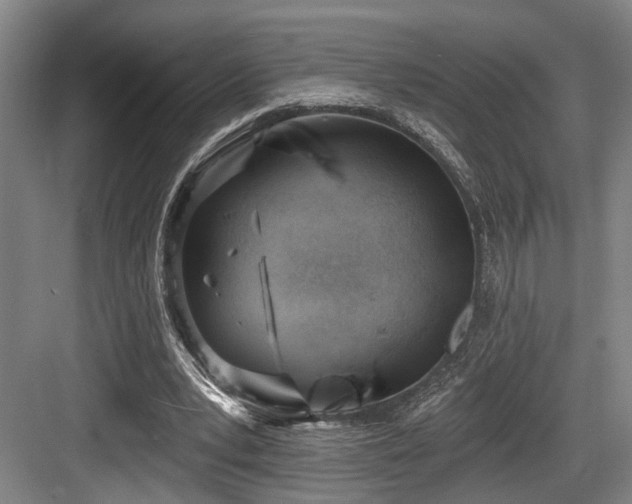 X0000083990391200702161138