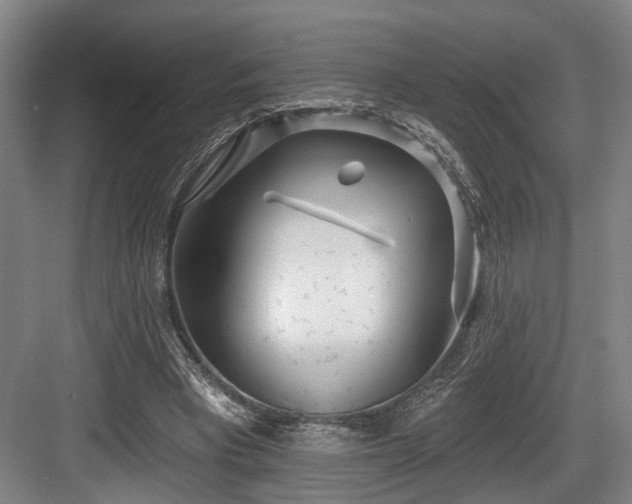 X0000083990393200702161138