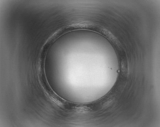 X0000083990396200702161138