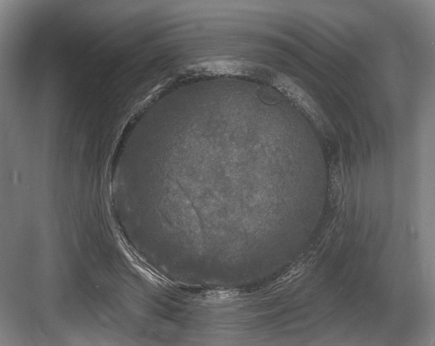 X0000083990398200702161138