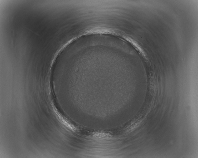 X0000083990399200702161138