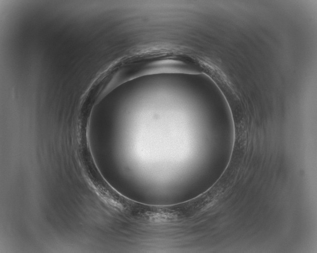 X0000083990400200702161138