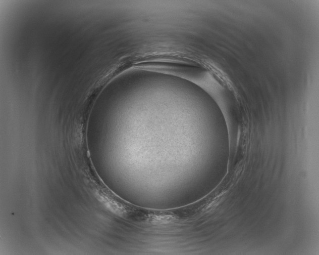 X0000083990401200702161138