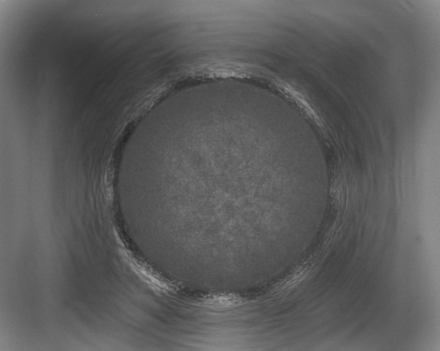 X0000083990402200702161138