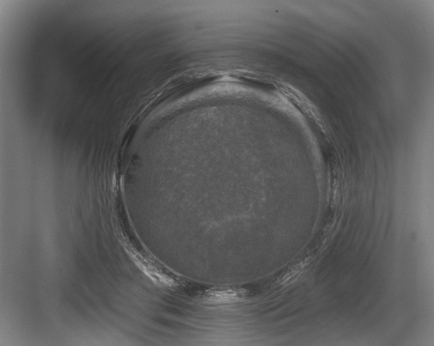 X0000083990405200702161138